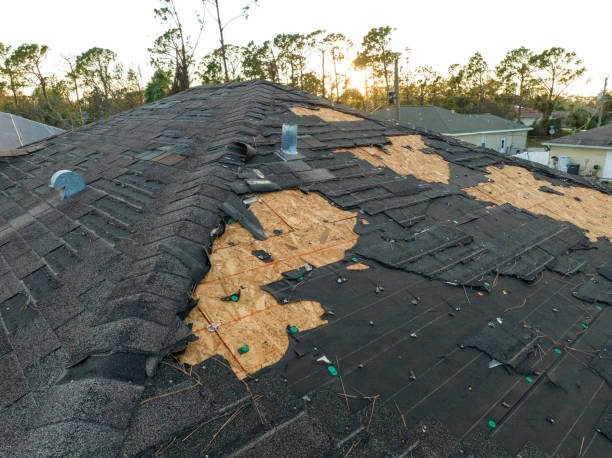 Reliable Audubon Park, NJ Roofing Services Solutions