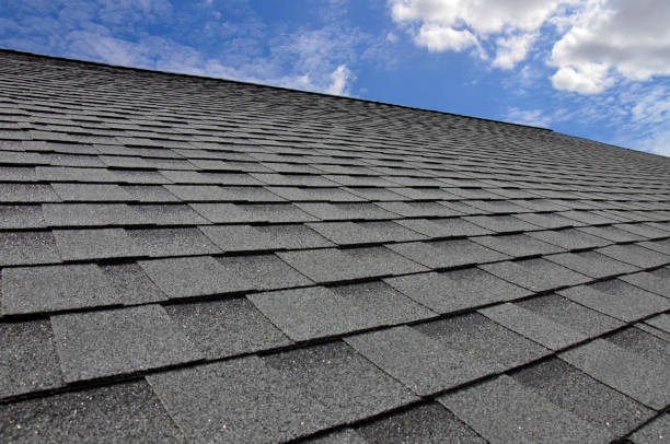 Best Flat Roofing  in Audubon Park, NJ